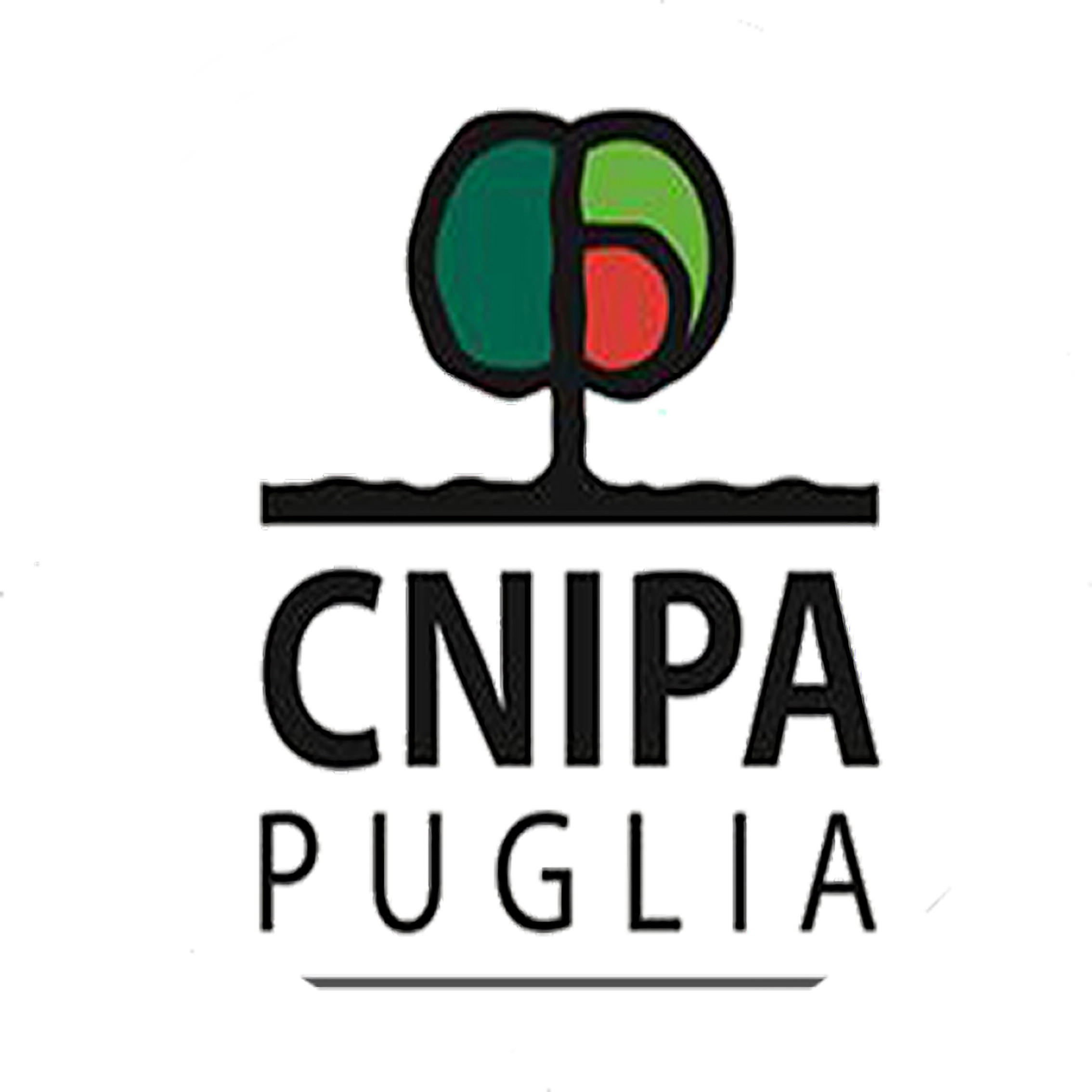 Cnipa Puglia